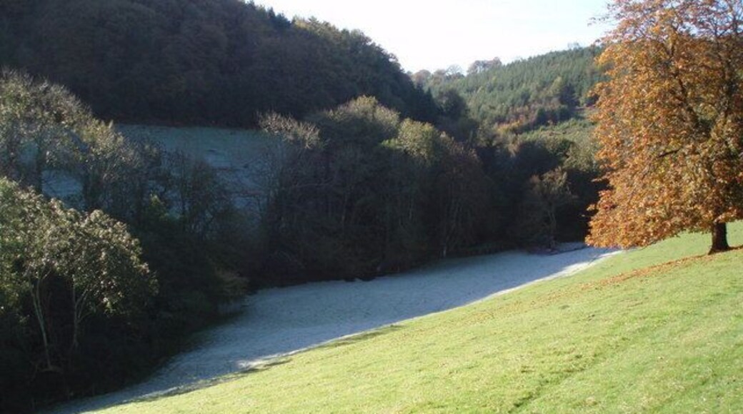 Ground frost and autumn sunshine Chargot Wood in the background.
