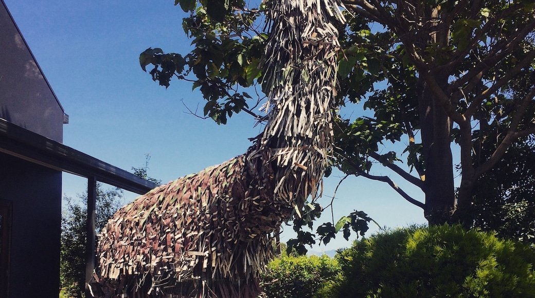 When you're suffering from "Wine Fatigue" this is the best place for you. Great beer tasting, you can sit inside if it's chilly, or outside in the gardens if it's a great day.