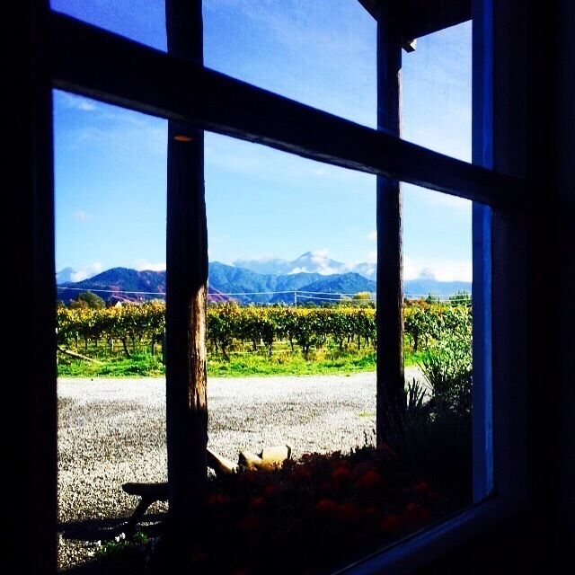 Biodynamic and Organic winery producing some beautiful wines. Sauvignon Blanc, Chardonnay, Gewürztraminer, Botrytis Riesling, Pinot Gris, Pinot Noir 😀
They close for the winter so don't miss out