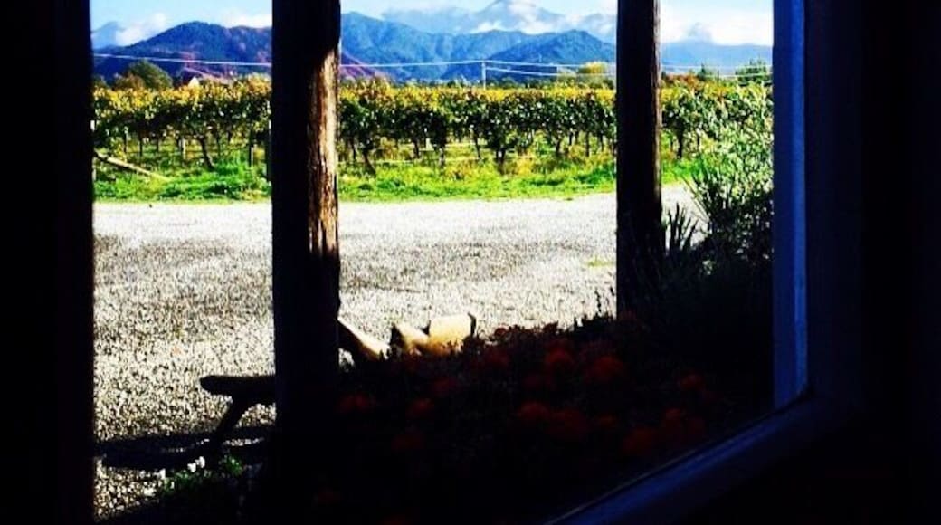 Biodynamic and Organic winery producing some beautiful wines. Sauvignon Blanc, Chardonnay, Gewürztraminer, Botrytis Riesling, Pinot Gris, Pinot Noir 😀
They close for the winter so don't miss out