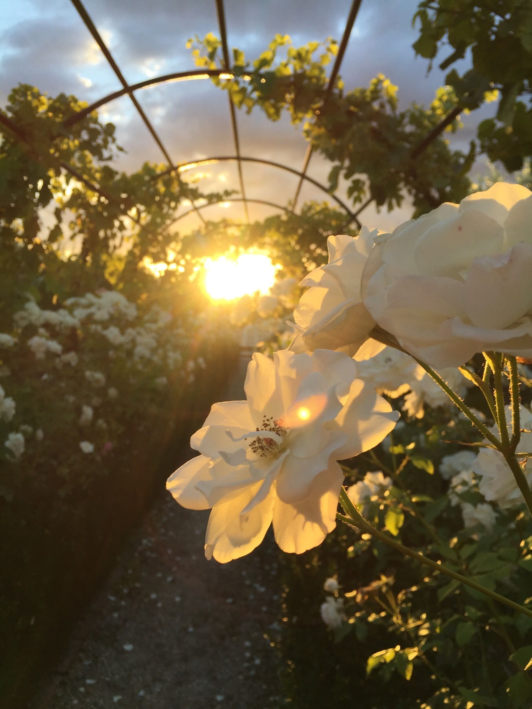 Amazing food and delicious views #goldenhour