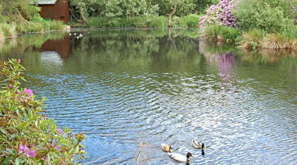 Parkland pond Northern end of the large pond in Strichen Community Park on the Western edge of Strichen.