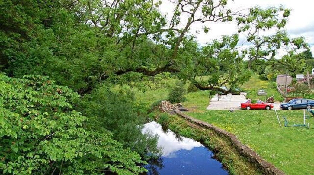 North Ugie. The North Ugie from the bridge, Bridge St, Strichen. Looking up stream
