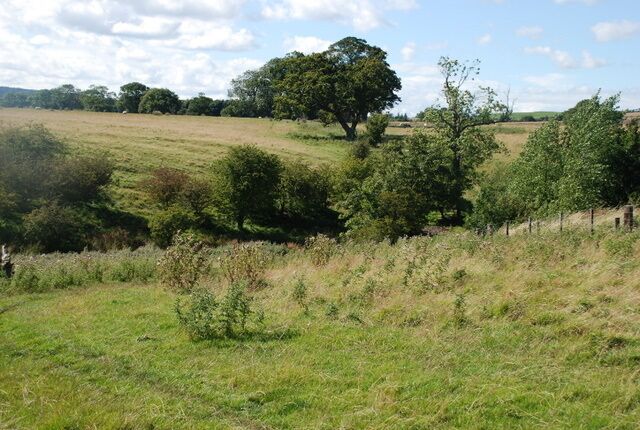 North west of Guyzance Rough grazing land going down to a small stream which flows into the River Coquet at Guyzance