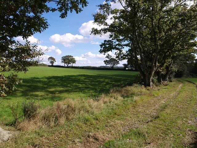 Footpath near Wooda Farm Sheepwash Footpath 3 curves past an intermittent line of trees alons a tiny watercourse.