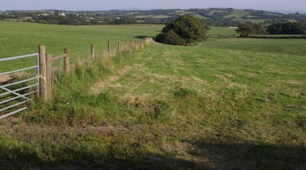 Fields at Upcott Avenel The view from the lane between Down Cross and Swardicott Cross as it passes the driveway to Upcott Avenel. A stream rises in the field on the right, following the little valley until it reaches the trees, where it disappears underground. Highampton church is beyond, on the left, while the high land of Broadbury is further away in the centre of the photo.