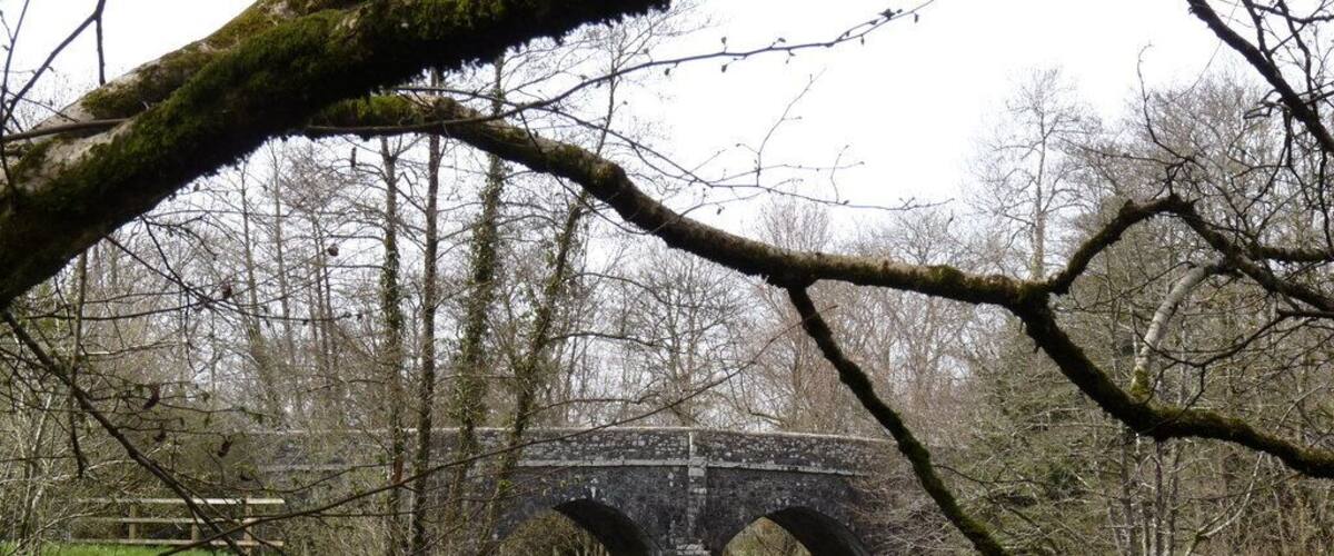 A stone bridge over a river, surrounded by trees and grass.