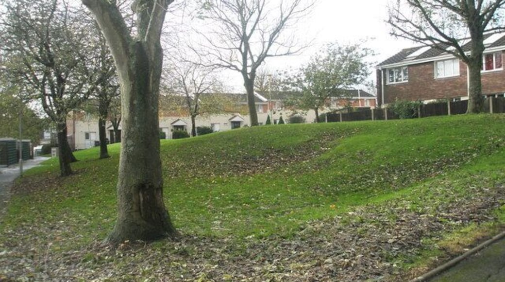 Autumn in Renown Gardens