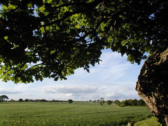 A killing field In 1403 this was the site of the battle between Henry IV & Harry Percy aka Hotspur. The battle is mentioned by Wm Shakespeare in his play Henry IV part 1 (or it could be part 2). Hotspur's forces were located on the ridge in the centre & left of the picture. Hotspur was killed in the battle & his corpse later quartered in the centre of Shrewsbury - a monument now marks that site.