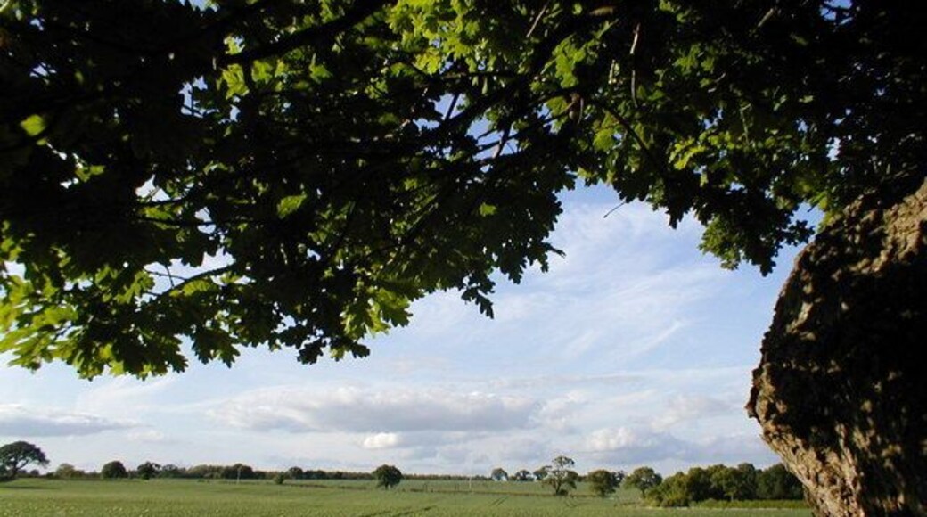A killing field In 1403 this was the site of the battle between Henry IV & Harry Percy aka Hotspur. The battle is mentioned by Wm Shakespeare in his play Henry IV part 1 (or it could be part 2). Hotspur's forces were located on the ridge in the centre & left of the picture. Hotspur was killed in the battle & his corpse later quartered in the centre of Shrewsbury - a monument now marks that site.