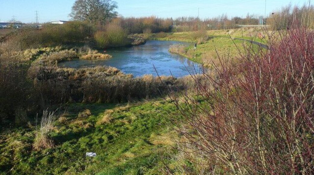 Wildlife pond By the A5124 Shrewsbury northern bypass near the Battlefield business estate.