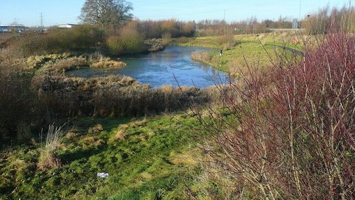 Wildlife pond By the A5124 Shrewsbury northern bypass near the Battlefield business estate.