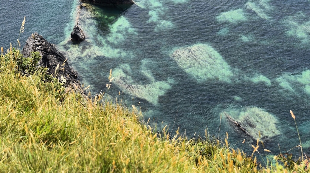 Blue waters in Dinas Cross on the Pembrokeshire Coast. Great area for camping and walking with the most stunning views of the cliffs and water! I actually got sunburnt taking this picture, believe it or not!