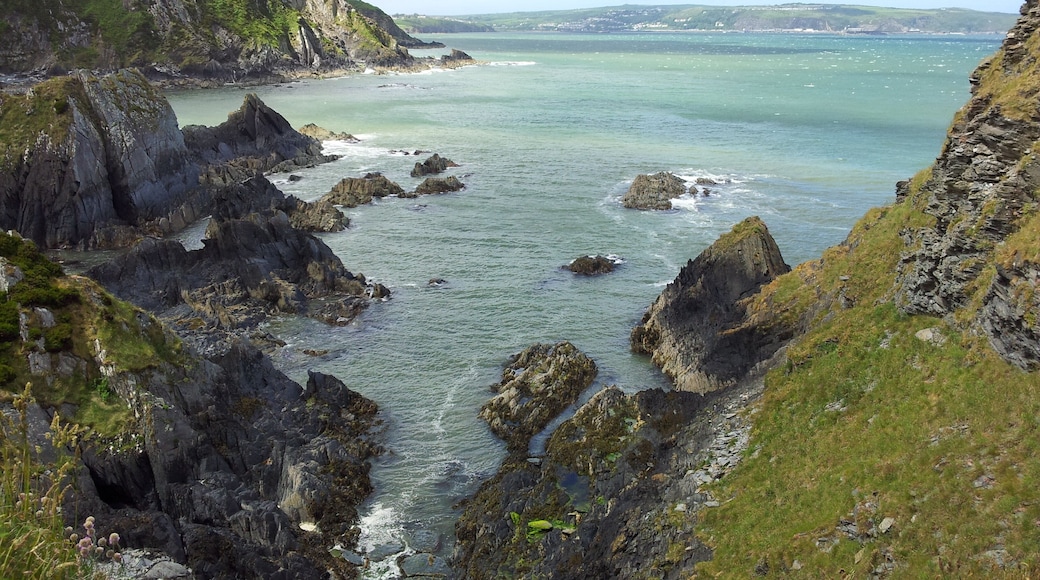 Blick vom Pembrokeshire Coast Path nach Fishguard, Wales