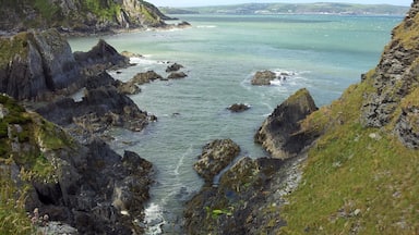 Blick vom Pembrokeshire Coast Path nach Fishguard, Wales