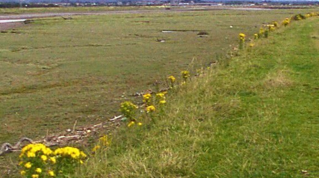 Fields alongside river estuary. These fields are by the River Clwyd