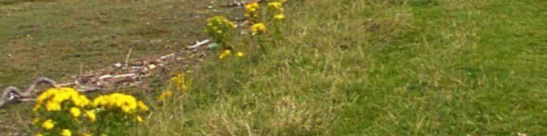 Fields alongside river estuary. These fields are by the River Clwyd