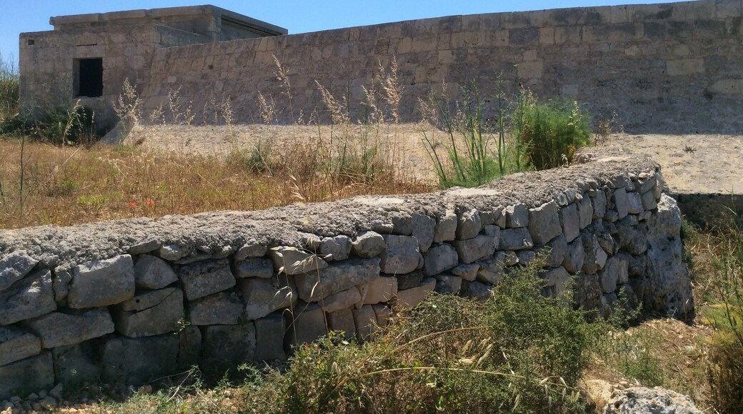 Agriculture in Mgarr