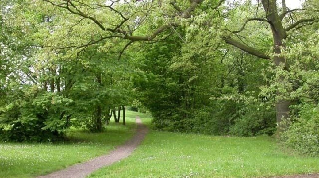 Ecton Brook Linear Park. This is the beginning of the park at the south end. The brook, behind the shrubs and trees to the right, is a Constituency and Parish boundary.