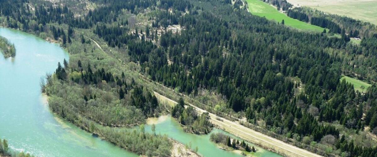A river winding through a densely forested area with a road running parallel to it.