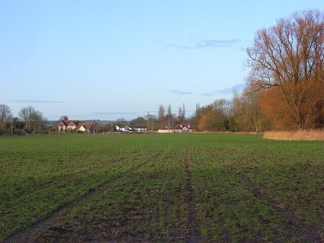 Farmland, East Hagbourne Trees beside Hakka's Brook in this view towards the southern end of the village.