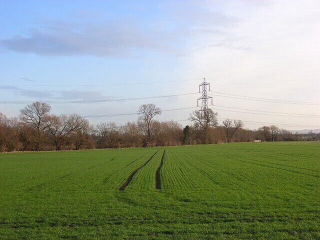 Farmland, East Hagbourne A cereal crop beside the bridleway the clips the southwestern part of the grid-square.