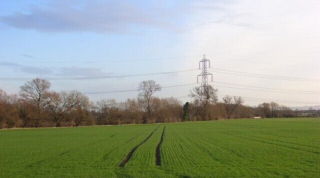 Farmland, East Hagbourne A cereal crop beside the bridleway the clips the southwestern part of the grid-square.
