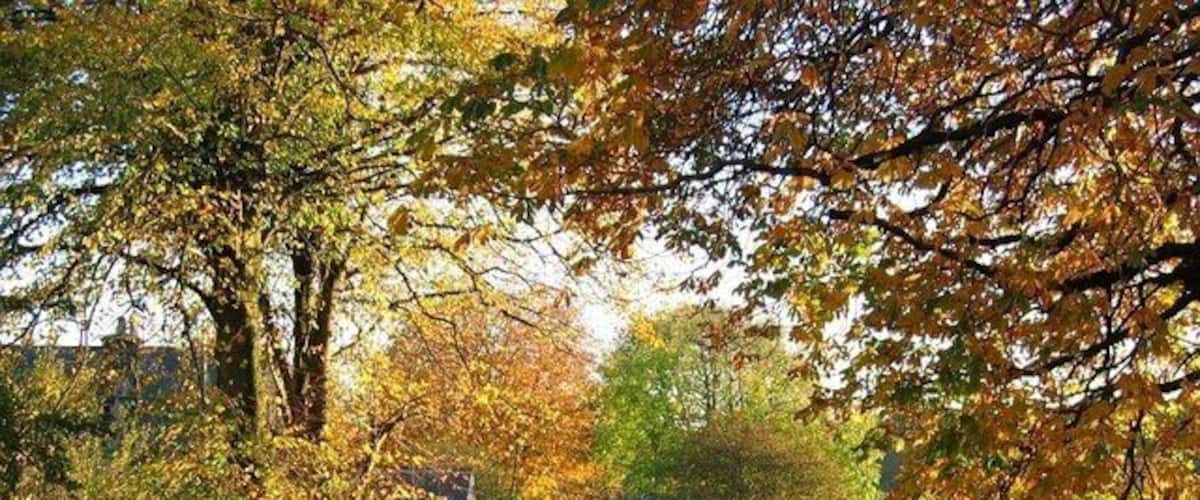 Near the bottom of Temperance Hill Autumn colours looking down Temperance Hill towards Ogston Reservoir. The New Napoleon public House can just be seen to the right of the road.