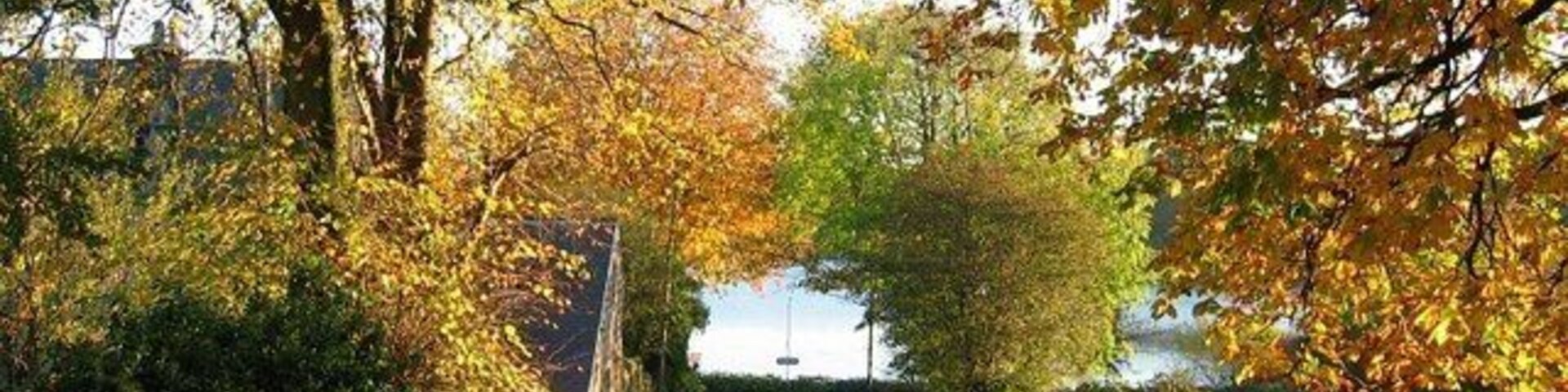 Near the bottom of Temperance Hill Autumn colours looking down Temperance Hill towards Ogston Reservoir. The New Napoleon public House can just be seen to the right of the road.