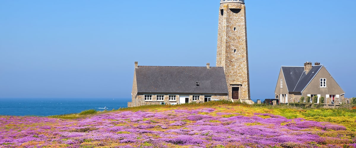 A lighthouse, a stone building, and a field of purple flowers.