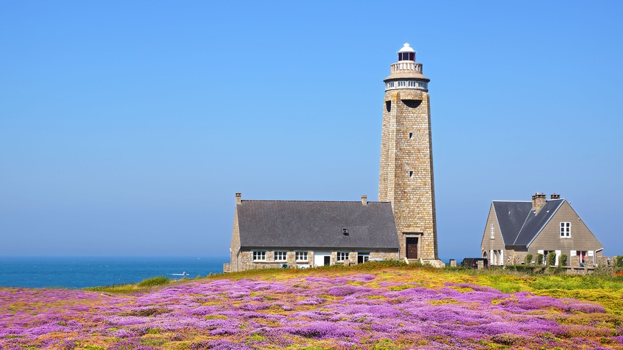 A lighthouse, a stone building, and a field of purple flowers.