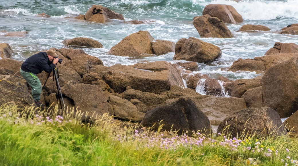 Normandy '12 - Day 4: Phare du Cap Levi