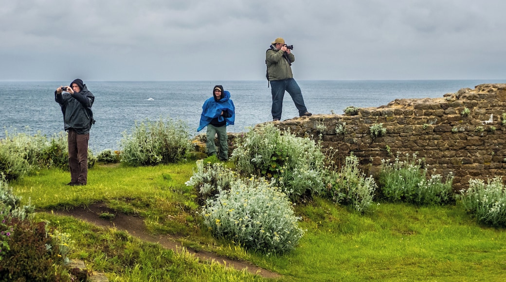 Normandy '12 - Day 4: Le Fort du Cap Levi