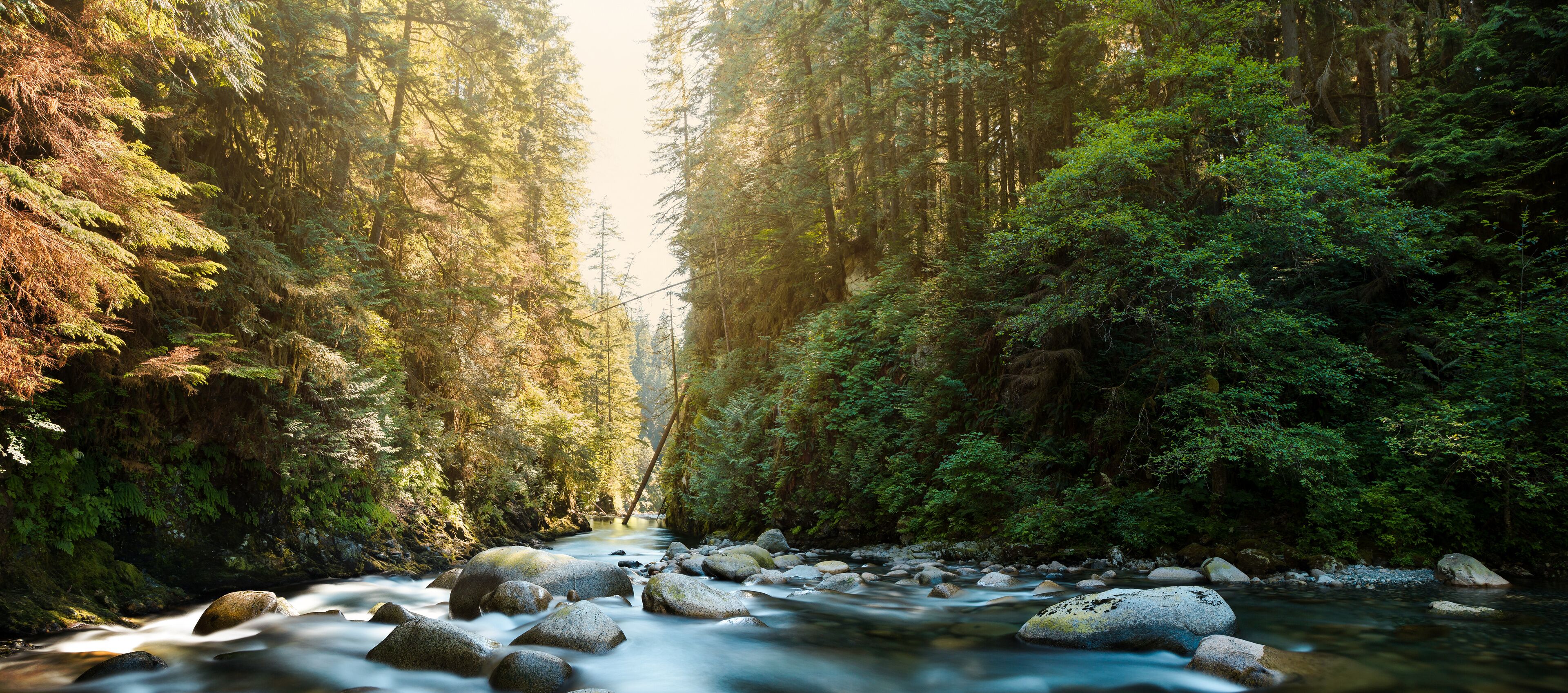 The river at Lynn Canyon in North Vancouver.