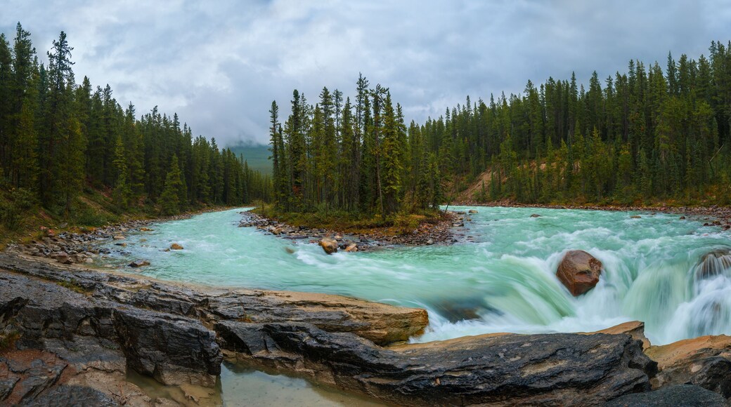 Cascade around island with trees in forest