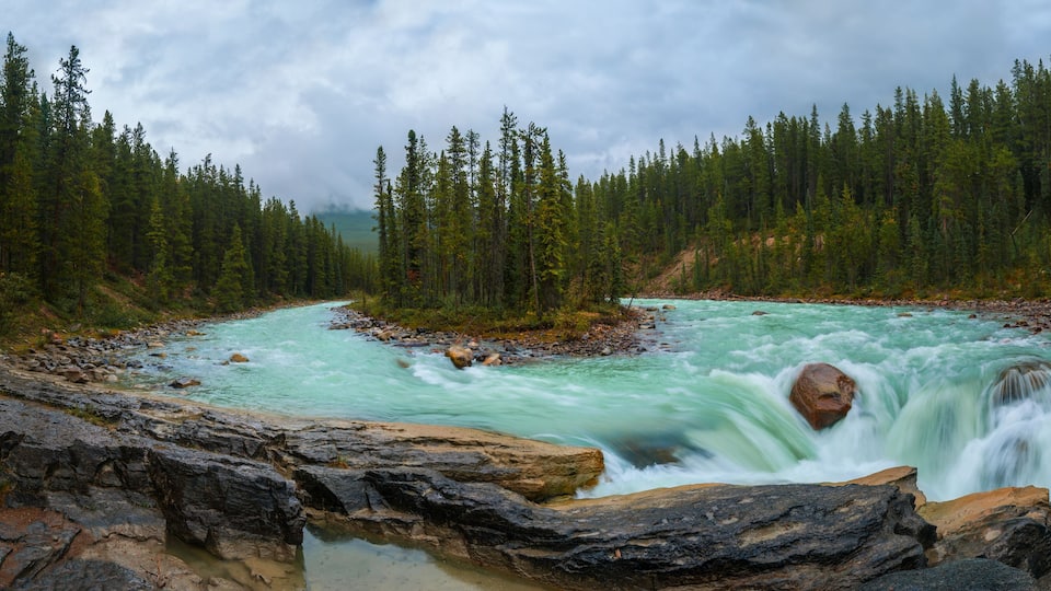 A river flowing through a forest with a waterfall.