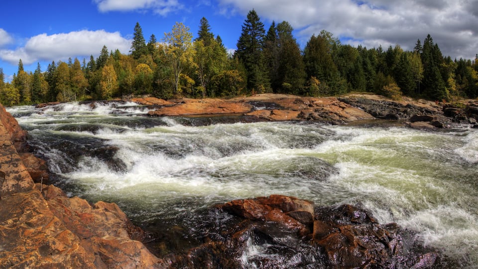 A river with white water rapids surrounded by rocky terrain and autumn-colored trees.