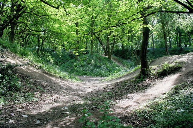 In Grange Wood This hilly piece of woodland alongside the Nottingham Canal route is too much of a temptation for the local bikers. The undergrowth has been worn away by numerous pairs of tyres.