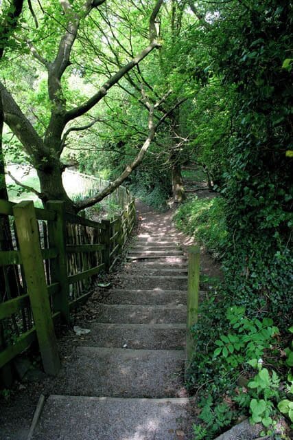 Escadaria de pedra cercada por vegetação exuberante e uma cerca de madeira.