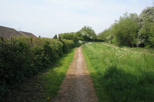 Footpath along the Nottingham Canal Nature Reserve. Note how high the canal route is compared to the roofs of the houses on Haynes Avenue, Trowell. This canal follows the 60 metre contour from Wollaton in SK5039, round 804508 up to Awsworth in SK4743, often being quite a height above the adjacent land.