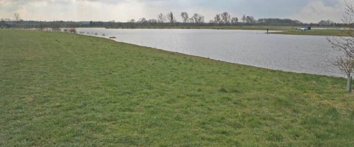 A large body of water with grassy banks, a cloudy sky, and a distant tree line.