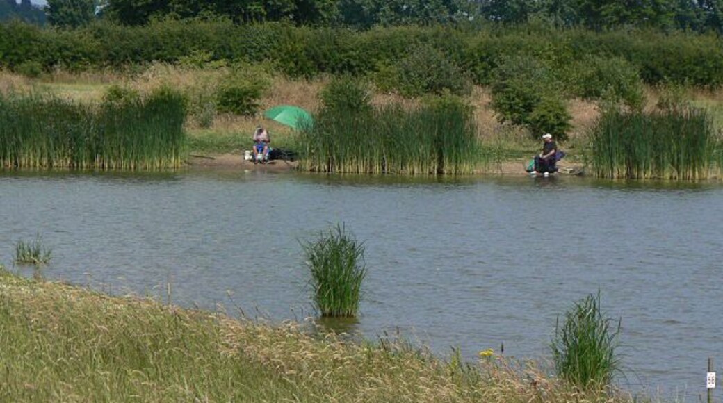 Hackett Lakes fishery Commercial fishery on former gravel pits.