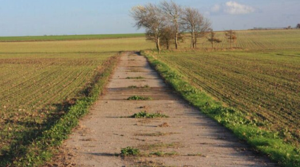 Farm track at Fordham Moor This track leads eastwards from Isleham Road towards an isolated clump of trees.
