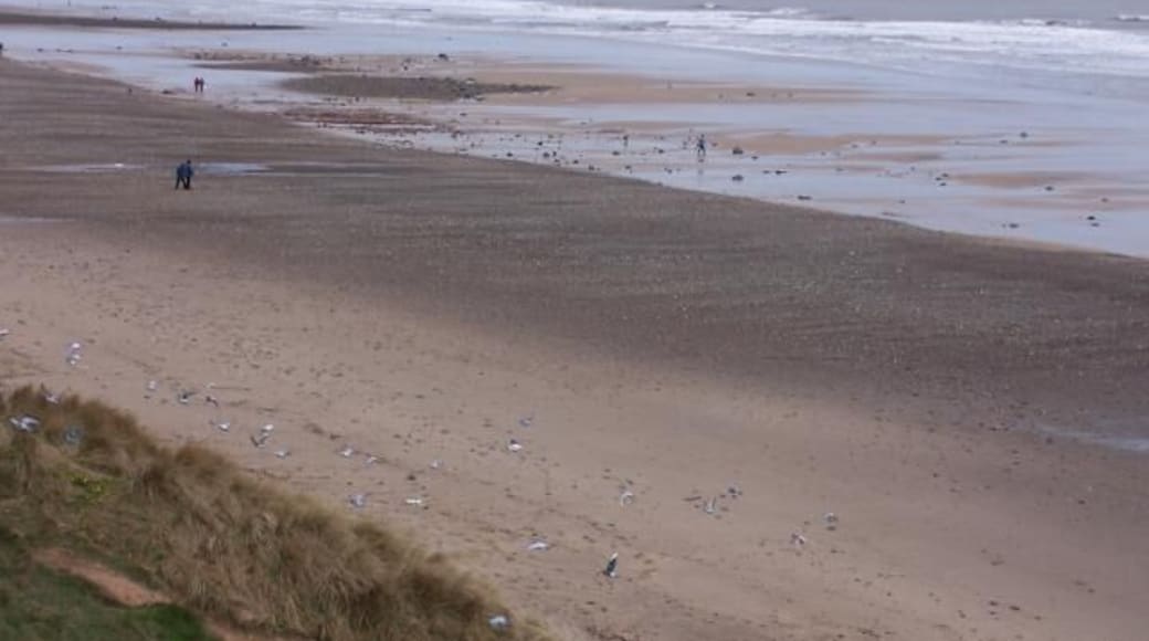Beach between Redcar and Marske.