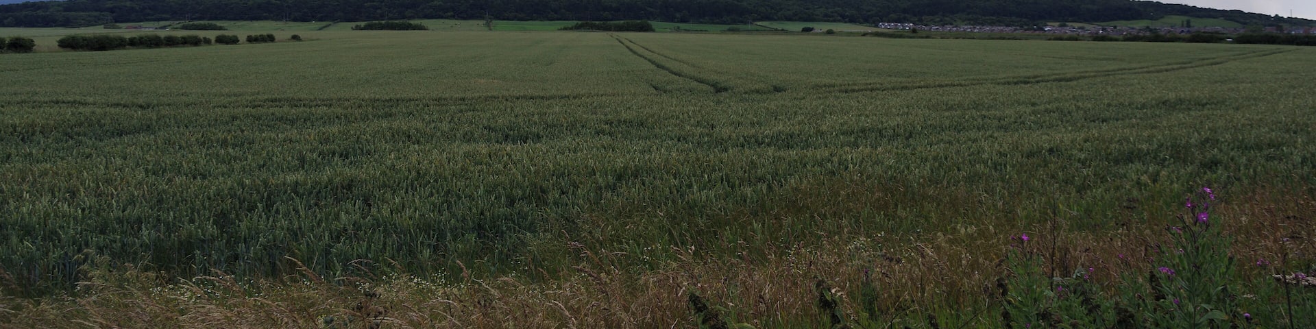 A rainstorm rolls in over the hills visible from Longbeck station.