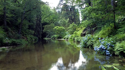 Bodnant Gardens are perfect for taking green pictures #Green