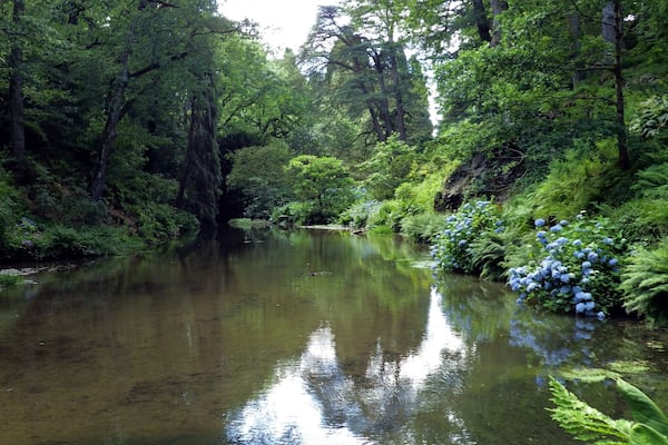 Bodnant Gardens are perfect for taking green pictures #Green