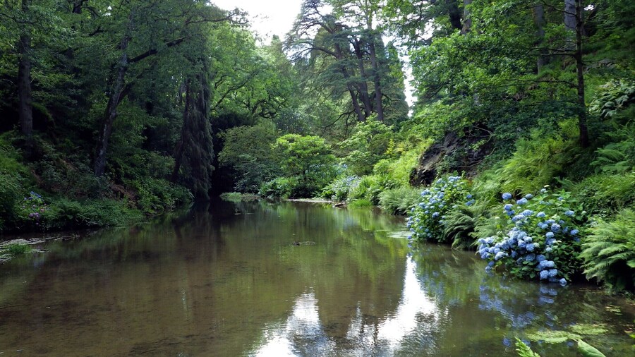 Bodnant Gardens are perfect for taking green pictures #Green
