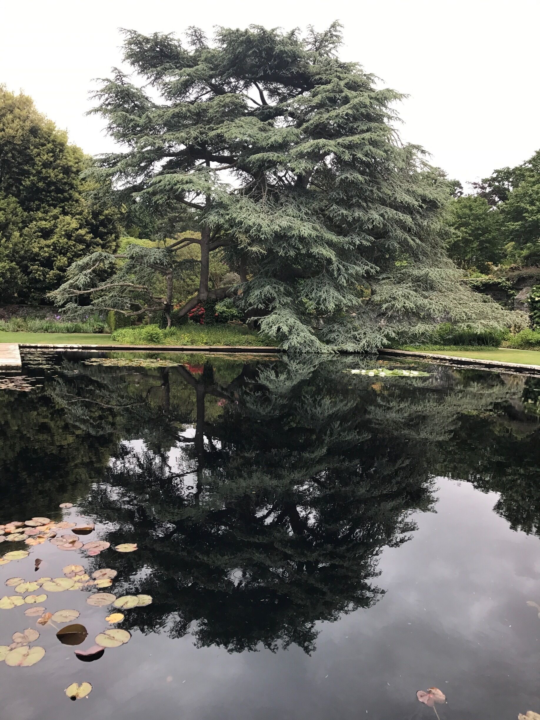 Favourite gardens in North Wales