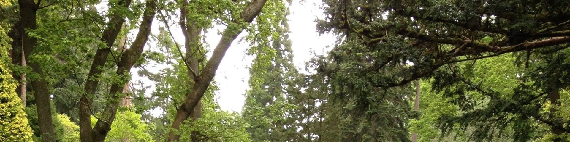 Ornamental gardens pen y craig